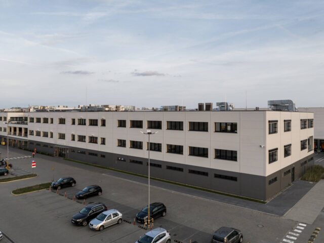 ZALANDO W GARDNIE